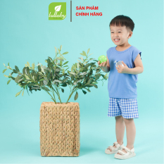 LULLABY – BỘ CT RAGLAN VIỀN CỔ NH152V