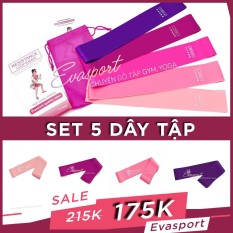Bộ 5 Dây Tập Gym, Tập Mông Mini Band, Dây Kháng Lực Làm Từ Cao Su Tự Nhiên, Giúp Cải Thiện Vòng 3