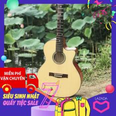 đàn guitar acoustic cho người mới tập chơi GV650