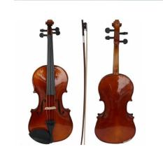 Đàn Violin Gỗ 4/4 Đủ Màu Full Phụ Kiện