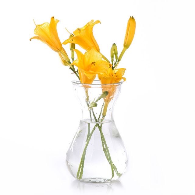 Lọ hoa thủy tinh/ Bình hoa thủy tinh miệng loe trang trí, trồng thủy sinh