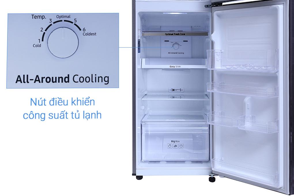 Tủ lạnh Samsung Inverter 256 lít RT25M4033UT/SV