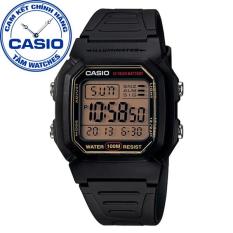 Đồng hồ nam dây nhựa Casio Standard Anh Khuê W-800HG-9AVDF