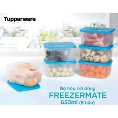 Bộ hộp trữ đông Tupperware Freezermate 650ml (6 hộp)