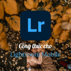 Trọn bộ 500+ Công thức màu cực đẹp cho Lightroom trên điện thoại (iOS/Android) / Lightroom Mobile Preset