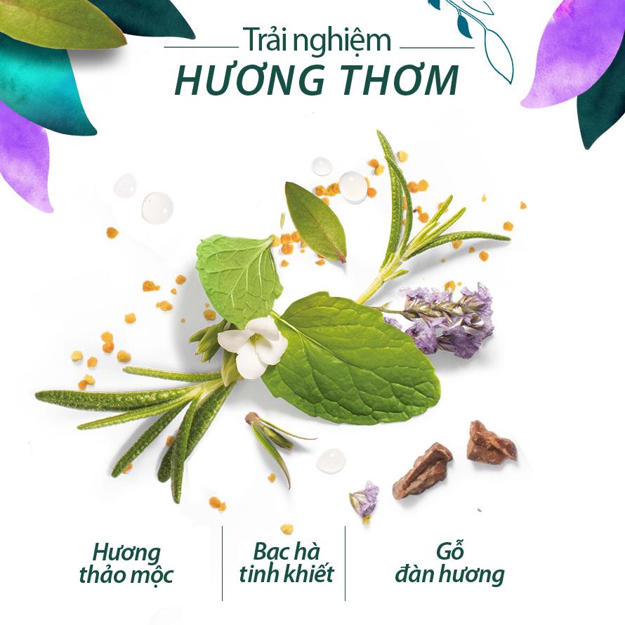 Combo Dầu Gội & Dầu Xả Herbal Essences Thảo Mộc Hương Thảo chai 400ml