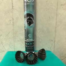 Ống Cầu Lông Gongke – 12 trái