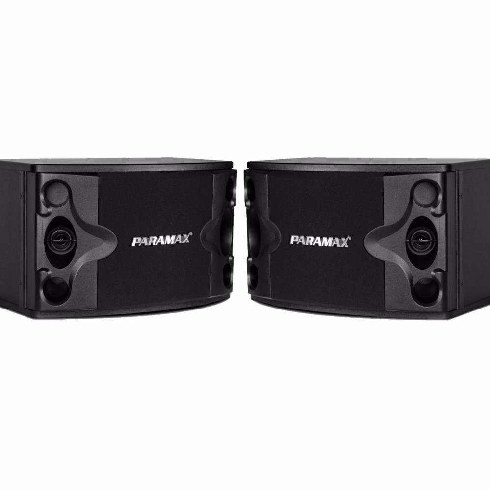 Loa Karaoke Paramax P-300 (đen)