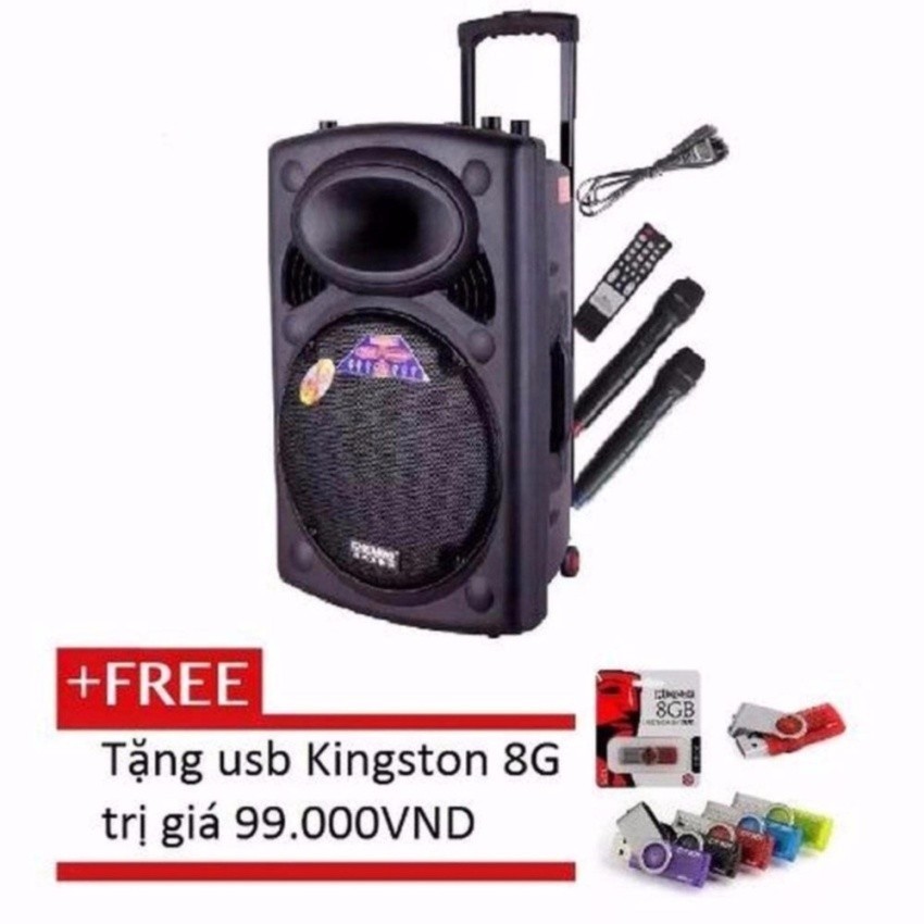 Hình ảnh Loa kéo Temeisheng DP-297L (Đen) + Tặng 1 USB 8GB