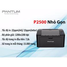 Máy in laser đơn sắc Pantum P2500