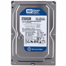 Ổ cứng cho máy tính bộ 250gb