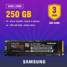 Sở hữu ngay Ổ Cứng Ssd Samsung 960 Evo Pcie Nvme M.2 250Gb  