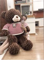 Gấu Bông Teddy Cao Cấp khổ Vải 1m2 Cao 1m Màu Nâu – Quà Tặng Yêu Thương