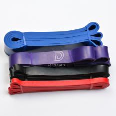 DÂY ĐÀN HỒI TẬP GYM – KHÁNG LỰC – TRỢ LỰC KÉO XÀ – STRETCH RESISTANCE – MOBILITY – HỖ TRỢ THỰC HIỆN CÁC ĐỘNG TÁC KÉO GIÃN CƠ BẮP – TĂNG SỨC BỀN, ĐỘ DẺO DAI
