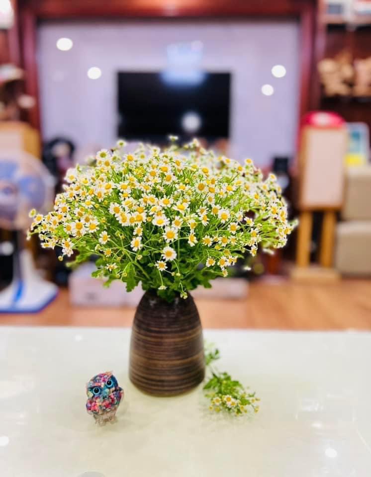 Siêu Sale - Lọ hoa bình hoa mini dáng chuông ganh