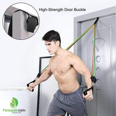 Bộ Dây Ngũ Sắc Tập Thể Hình Đa năng, dụng cụ tập gym tại nhà, dụng cụ tập thể hình, tập thể dục đa năng. Bộ 5 dây ngũ sắc đàn hồi tập gym tại nhà hữu ích