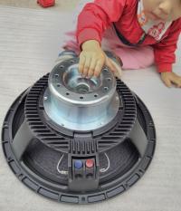 BAO SHIP – 2 LOA BASS 40 RCF TỪ NEO COIL 100 CAO CẤP – HÀNG CHẤT LƯỢNG