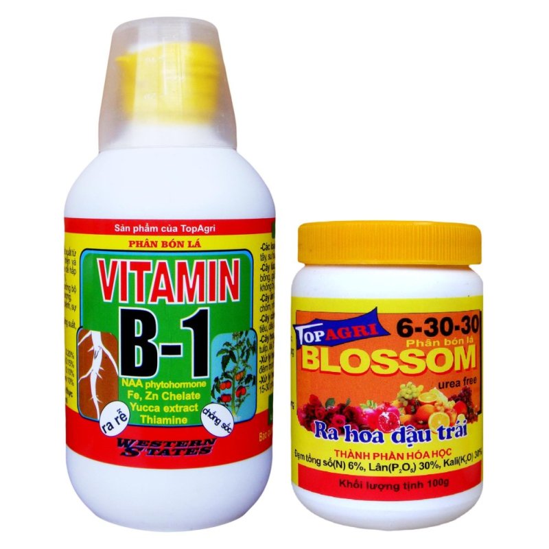Bộ phân bón lá Vitamin B1 + Bloossom 06-30-30 thúc cây ra hoa(Vàng)
