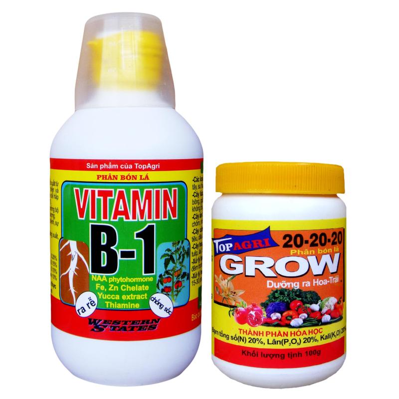 Bộ phân bón lá Vitamin B1 + Grow 20-20-20 dưỡng cây toàn diện(Vàng)