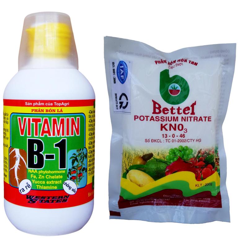 Bộ Vitamin B1 + Phân bón Better KNO3 kích ra hoa đồng loạt cho hoa
lan