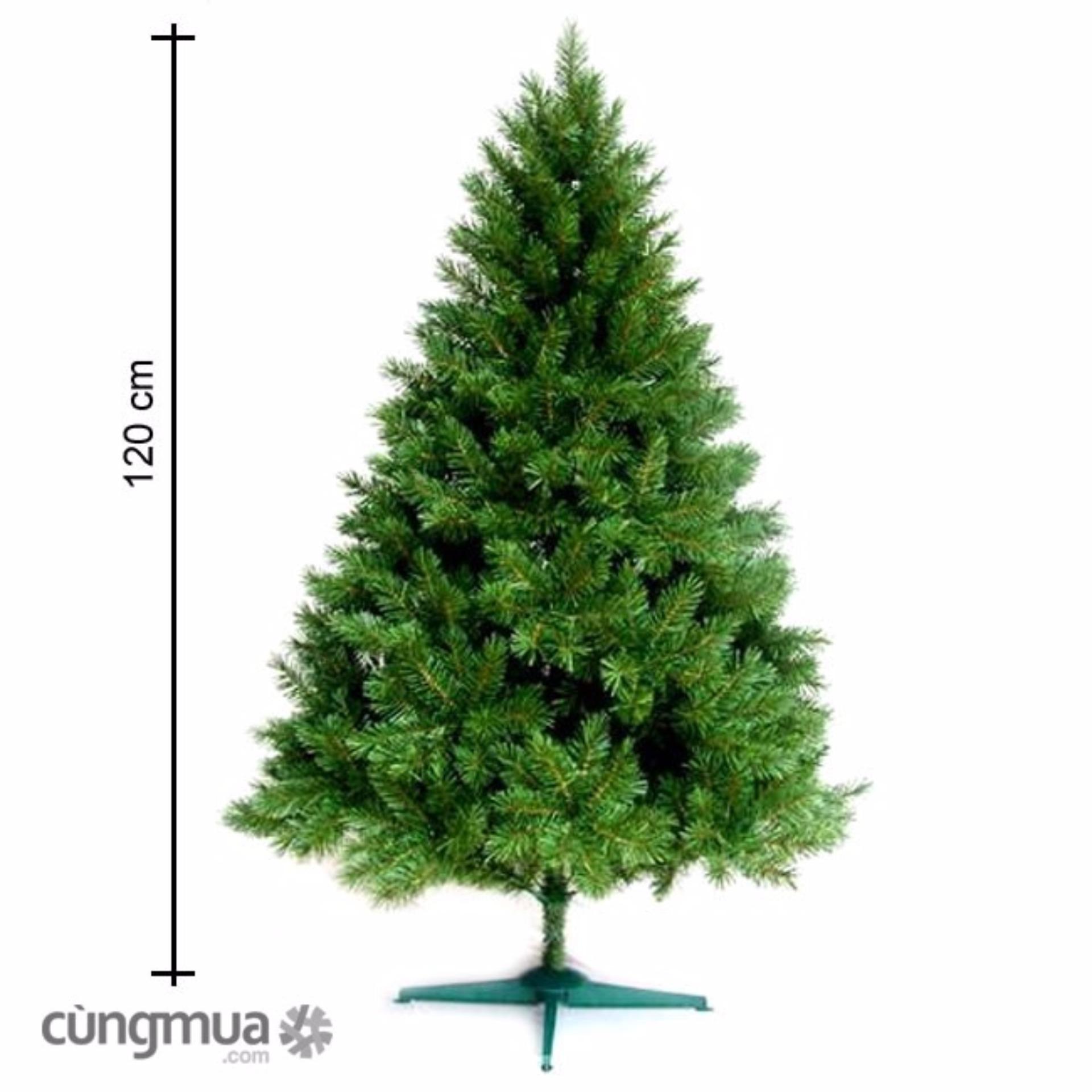 Cây Thông Noel (Cao 120cm)