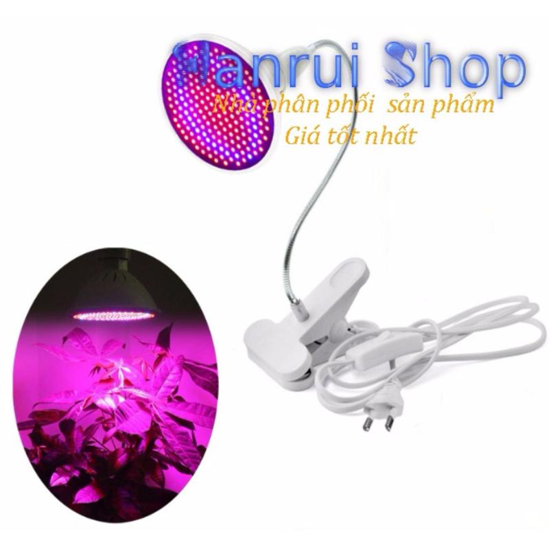 Bảng giá Đèn led trồng cây trong nhà giúp cây phát triên tốt hơn 20w