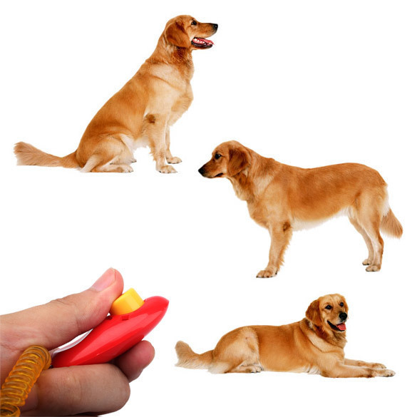 pet click clicker intl gi 225 68 000 pet click clicker intl gi 225 68 000