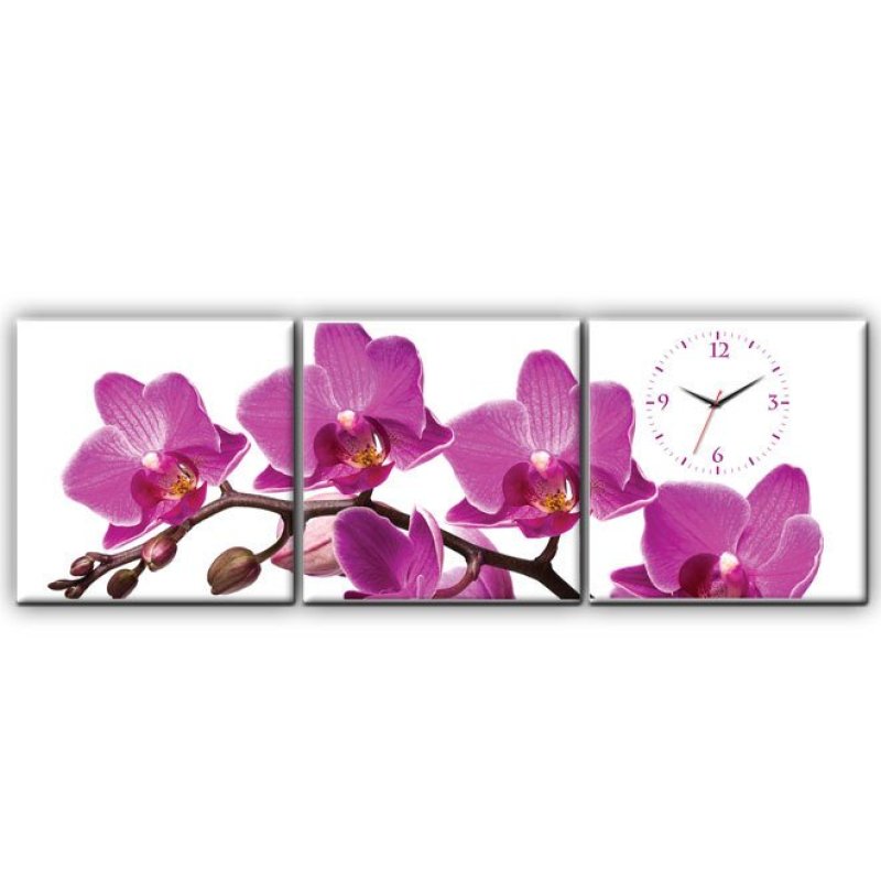 Nơi bán Đồng hồ tranh Nhành Lan Tím Dyvina 3T3030-3
