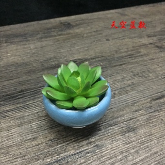 OJ Home Furnishing mini flower pots - intl