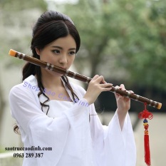 Sáo Trúc Trung Hoa D27 – Dizi Nâu Nạm Ngọc