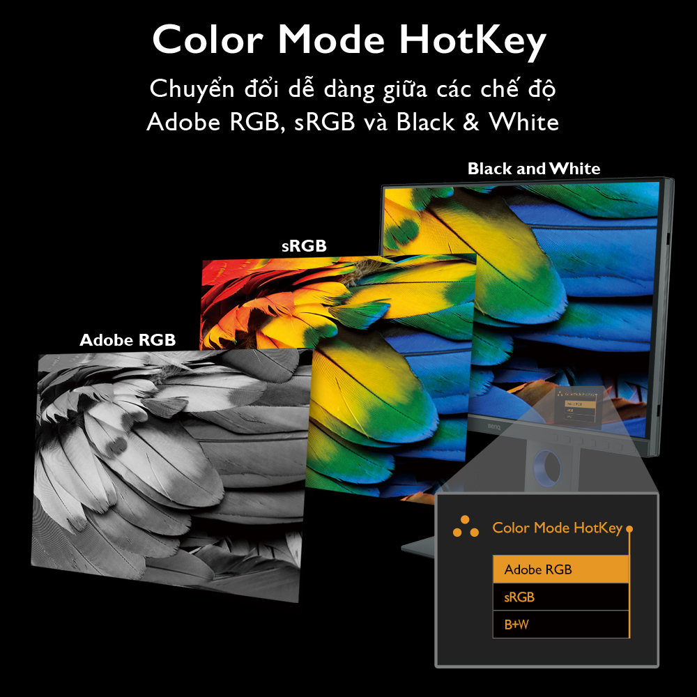 Màn hình máy tính BenQ SW240 24 inch 99% Adobe RGB chuyên Đồ họa, Xử lý ảnh dành cho Photographer...