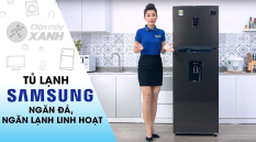 Tủ Lạnh SAMSUNG 38K5930DX