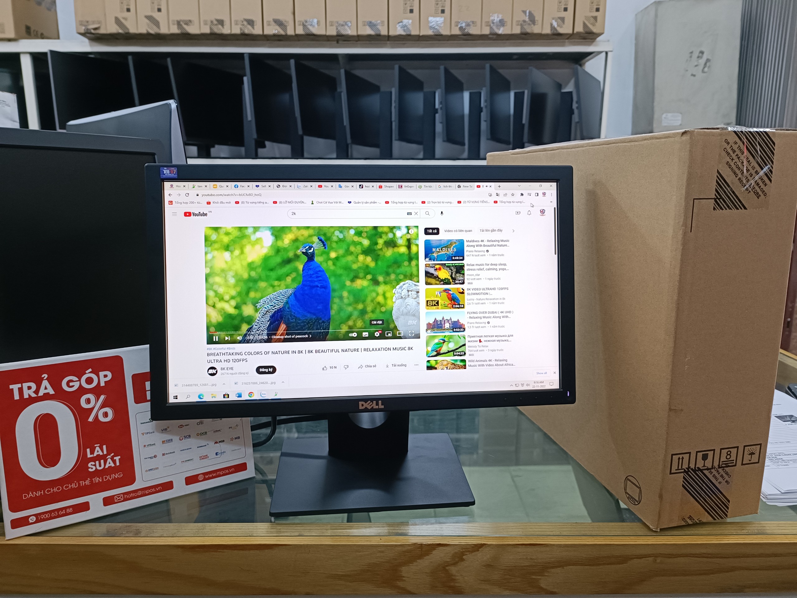 Màn dell 20 inch văn phòng giá rẻ e2016 full box