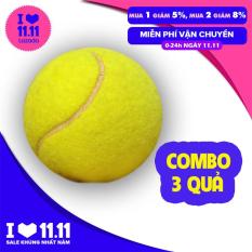 Combo 3 quả bóng tennis dành cho người mới bắt đầu tập luyện môn quần vợt
