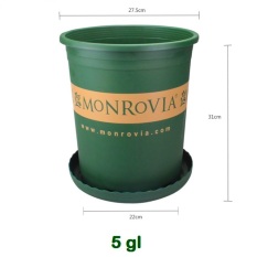 Chậu Nhựa Monrovia 5Gallon Hàng Chính Hãng (Nhập Khẩu) + Tặng Đĩa Lót