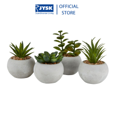 Cây hoa trang trí |JYSK Bror | xi măng/nhựa | xanh/xám | DK7xC9cm