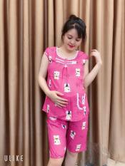 Bộ ngố lanh bầu