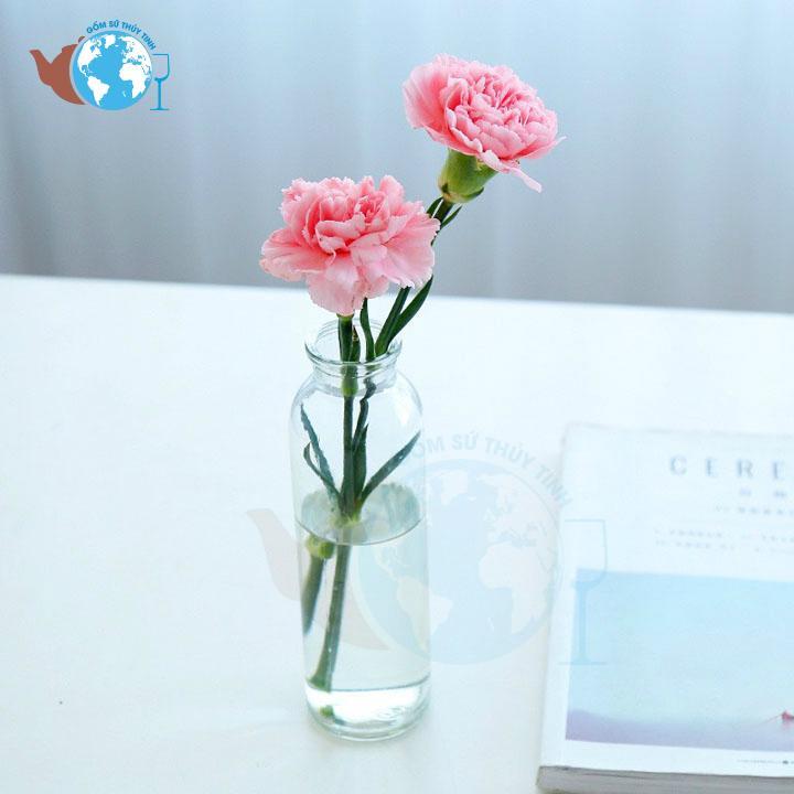 [HCM]Bình bông lọ cắm hoa thuỷ tinh TRÒN 1 cành + TẶNG KÈM DÂY SƠ DỪA TRANG TRÍ