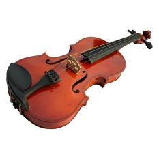 Đàn violin