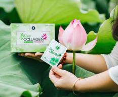 [Hàng mới] Diệp lục collagen hộp 30 gói