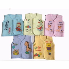 Bộ 2 áo GILE bông xốp in hình cho bé số 3 Chipxinhxk