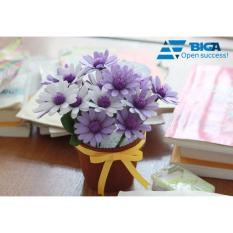Chậu Hoa Giấy Thủ Công Cho Bé US04893 (Giao Mẫu Ngẫu Nhiên)