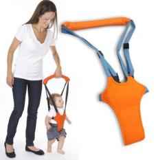 Đai Tập Đi an toàn cho bé yêu – My Early Steps