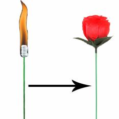 Đạo cụ ảo thuật:Ngọn đuốc biến kỳ ảo thành bông hoa hồng