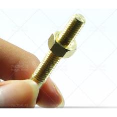 Đồ chơi ảo thuật ốc tự xoay không hộp