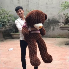 Gấu Bông Cao Cấp Teddy áo thun màu nâu chocolate khổ vải 1m4 cao 1,2m