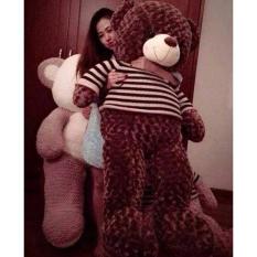 Gấu bông Teddy cao cấp – Khổ vải 1,6m cao 1,4m màu nâu