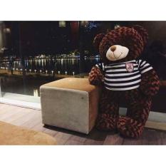 GẤU BÔNG TEDDY CAO CẤP KHỔ VẢI 1M DÀI 80CM NÂU Socola
