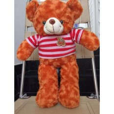 Gấu Bông Teddy Cao Cấp Size 50Cm Hàng Vnxk