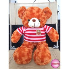 Gấu Bông Teddy Cao Cấp Size 50Cm Vnxk
